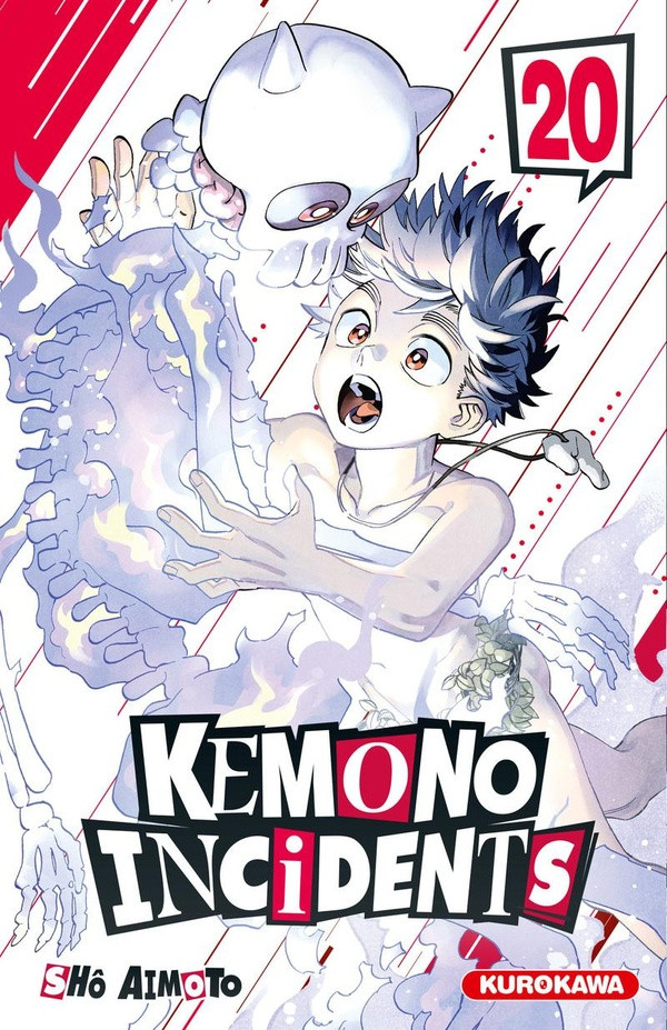 Couverture de l'album Kemono incidents 20