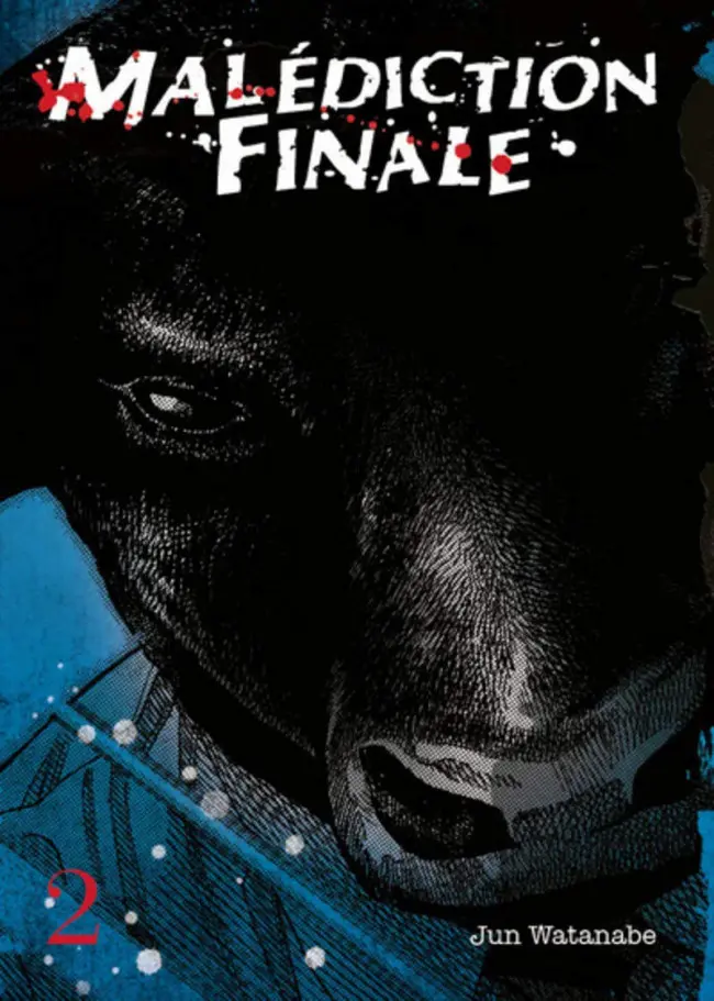Couverture de l'album Malédiction Finale 2