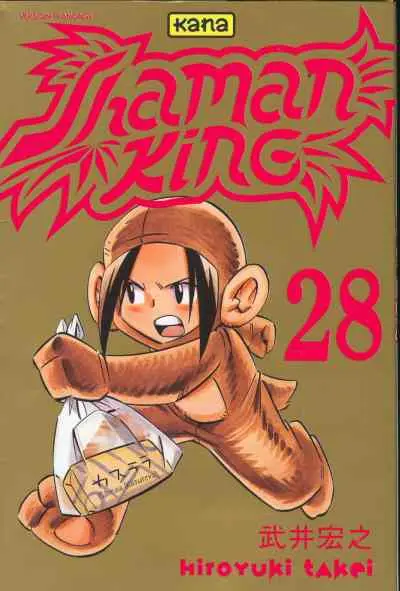 Couverture de l'album Shaman King 28 Une fille bien
