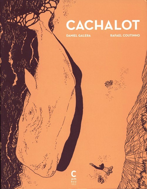 Couverture de l'album Cachalot