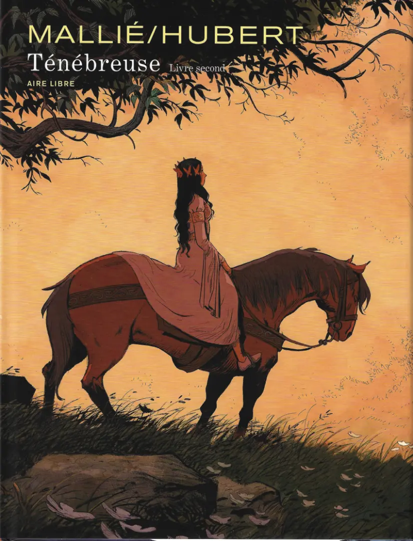 Couverture de l'album Ténébreuse Livre 2 Livre second