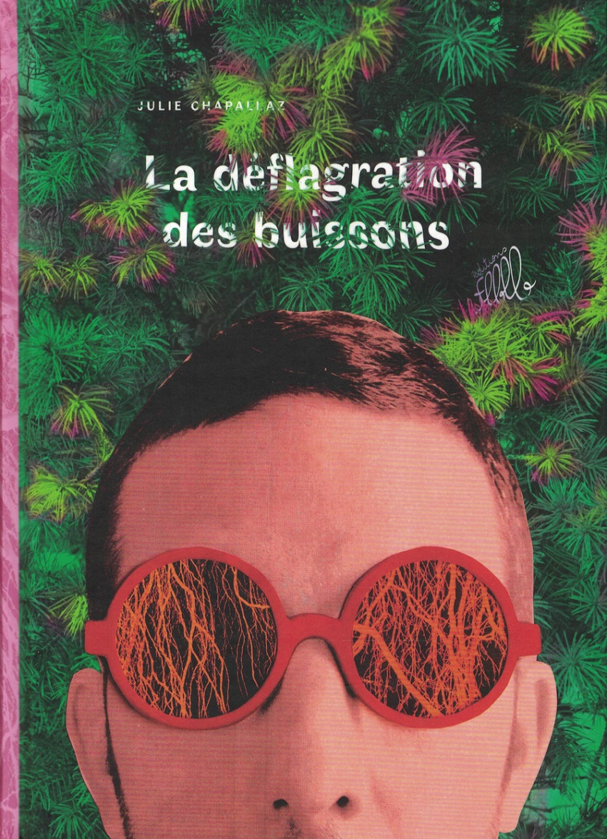 Couverture de l'album La déflagration des buissons