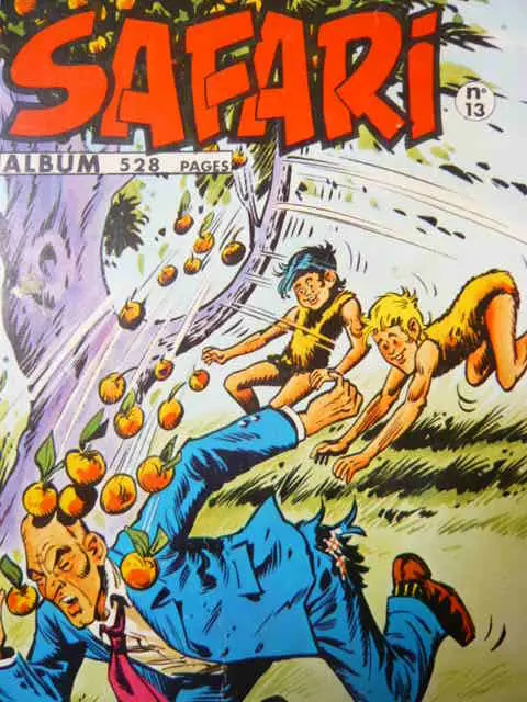 Couverture de l'album Safari Album N° 13