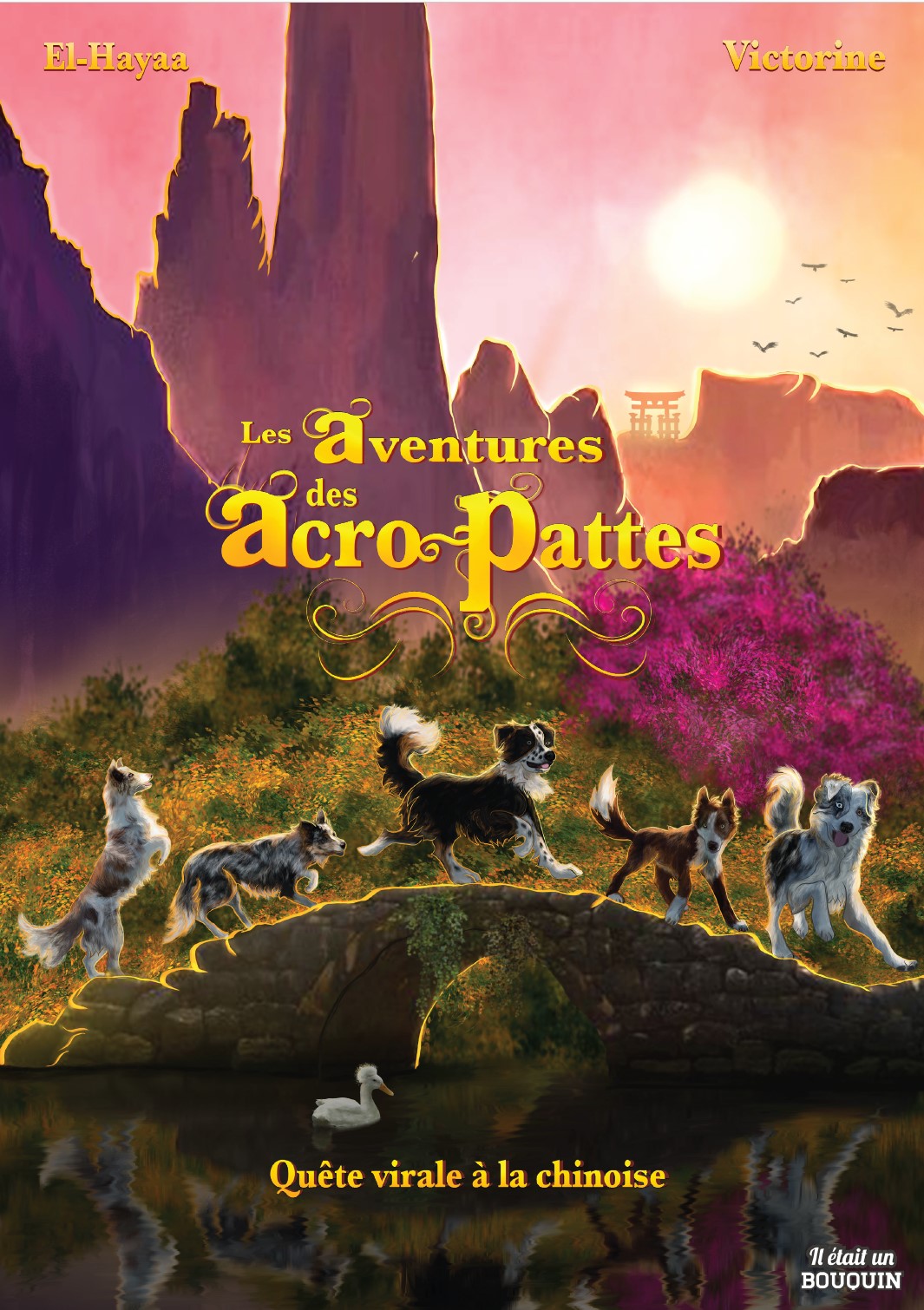 Couverture de l'album Les aventures des Acro-pattes 1 Quête virale à la chinoise