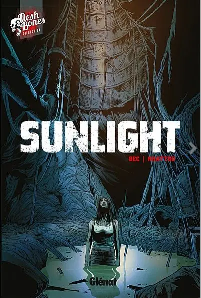 Couverture de l'album Sunlight