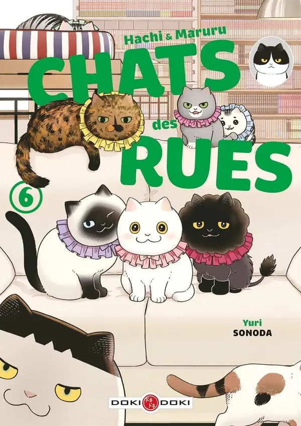 Couverture de l'album Hachi & Maruru - Chats des rues 6