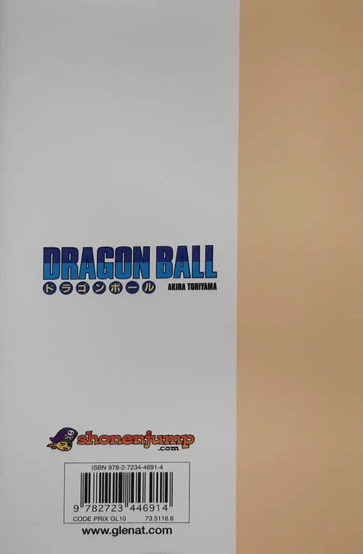 Verso de l'album Dragon Ball Édition originale Tome 10 Le 22è Tenka Ichi Budôkai