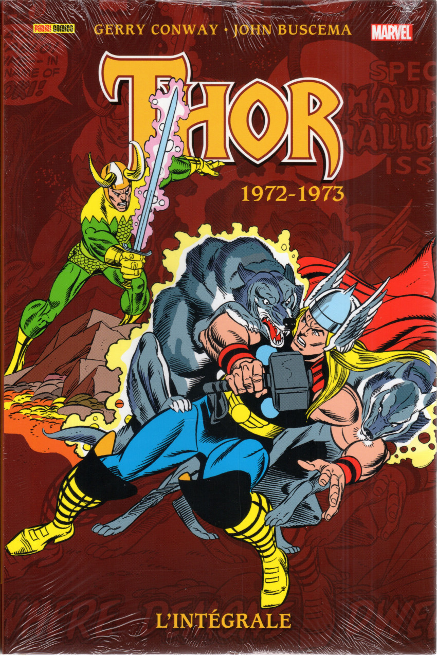 Couverture de l'album Thor - L'intégrale Vol. 15 1972-1973