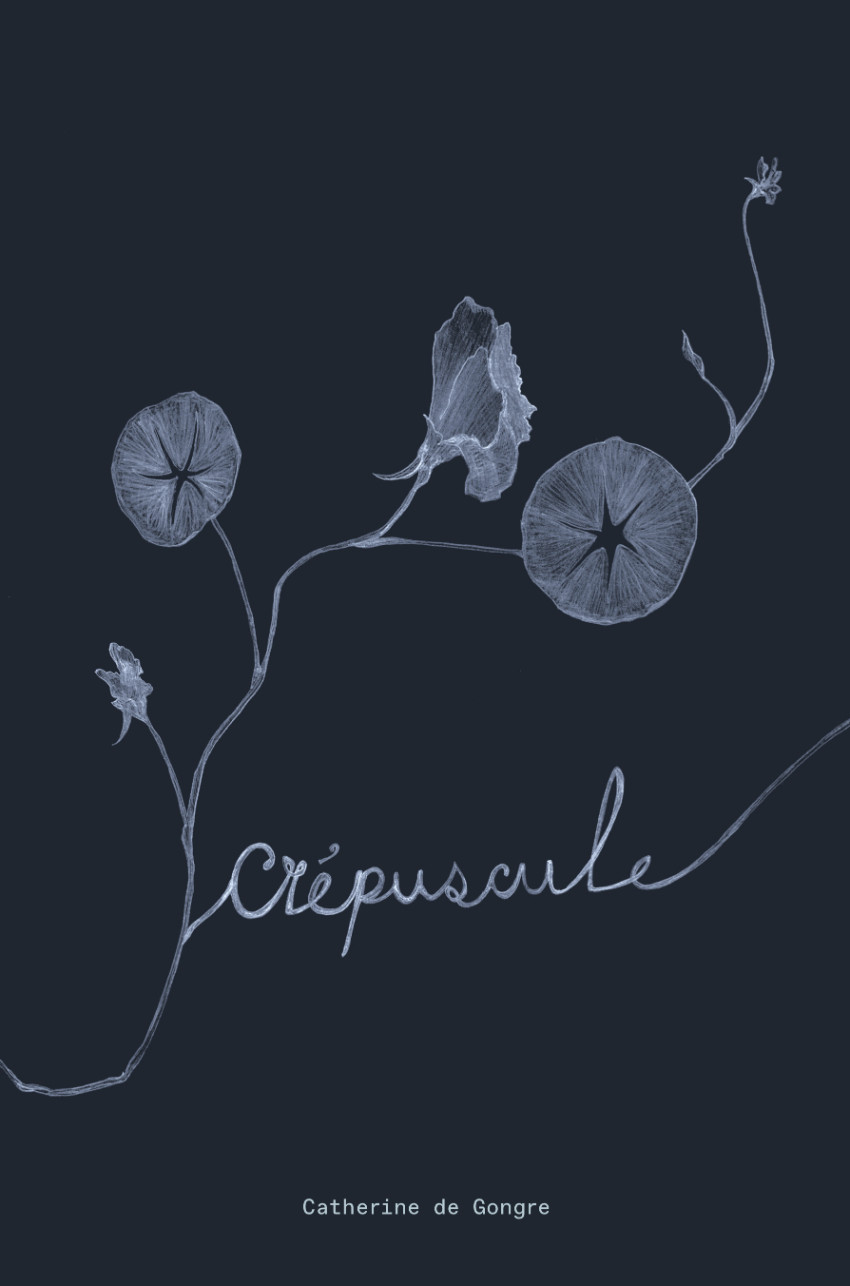 Couverture de l'album Crépuscule