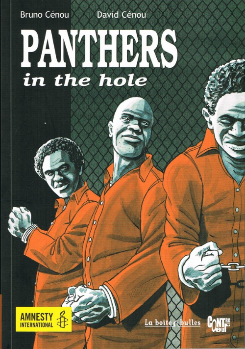 Couverture de l'album Panthers in the hole