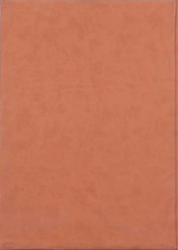 Verso de l'album Luuna Tome 4 Pok-Ta-Pok