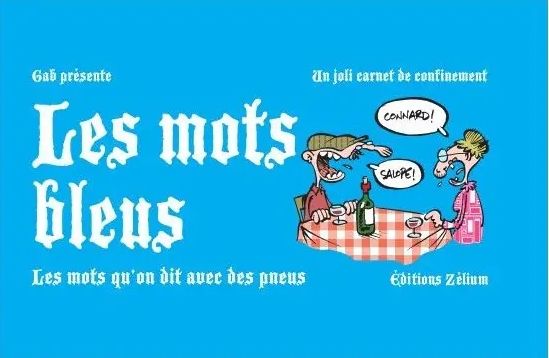 Couverture de l'album Les mots Bleus Les mots qu'on dit avec des pneus