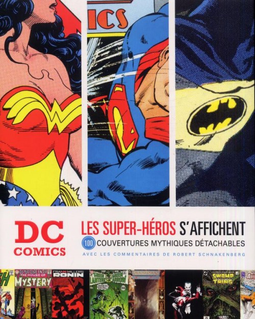 Couverture de l'album DC Comics : les super-héros s'affichent