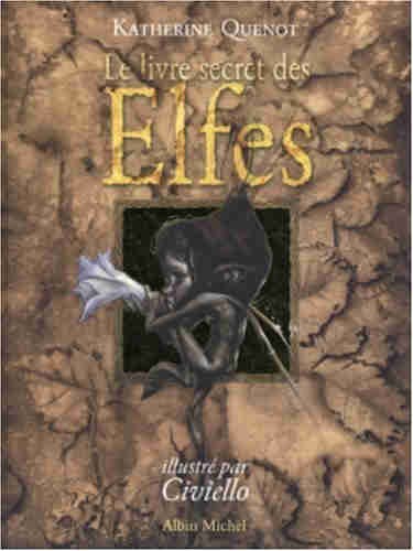 Couverture de l'album Le Livre secret Tome 1 Le livre secret des elfes