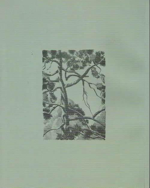 Verso de l'album Bois brut et herbes folles
