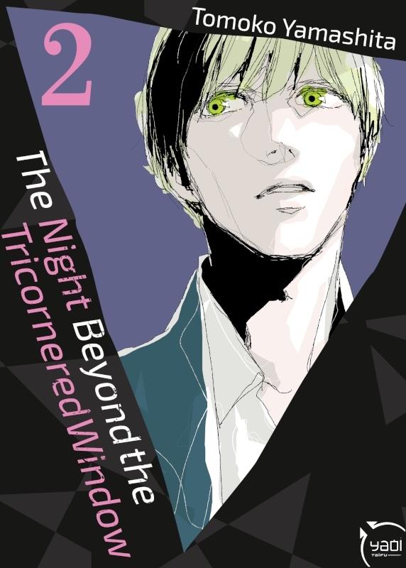 Couverture de l'album The night beyond the tricornered window 2