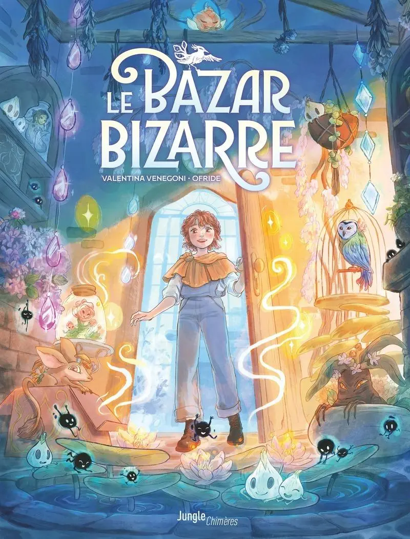 Couverture de l'album Le Bazar Bizarre