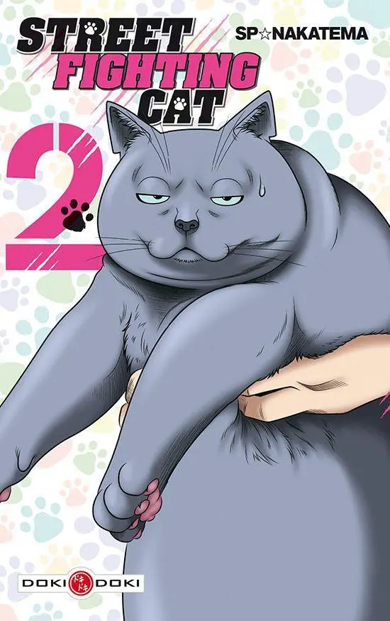 Couverture de l'album Street Fighting Cat 2