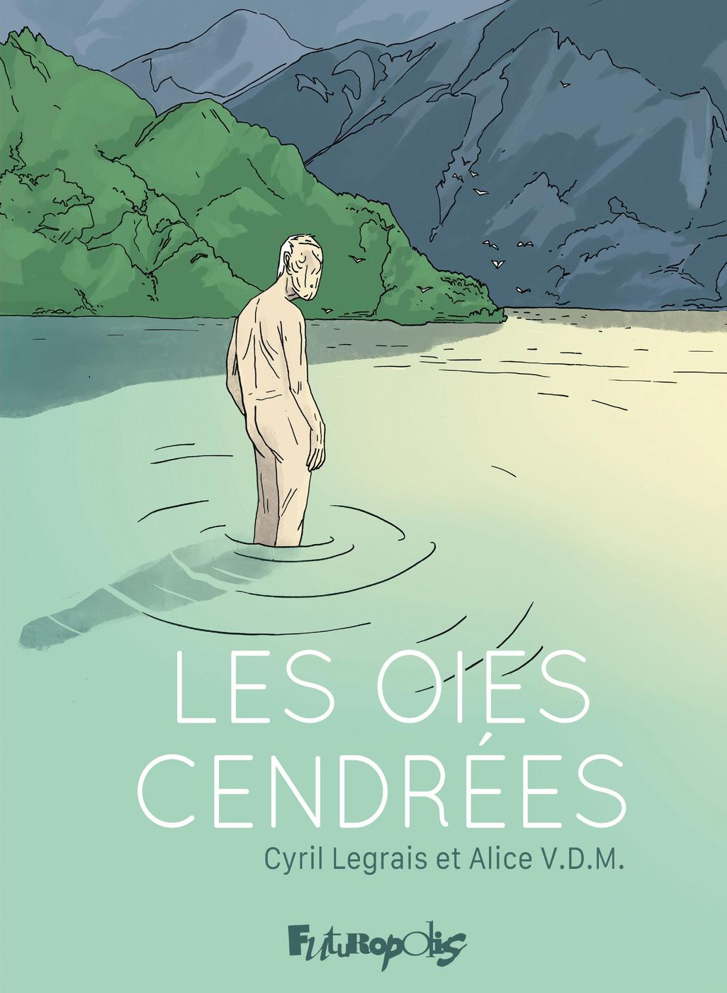 Couverture de l'album Les oies cendrées