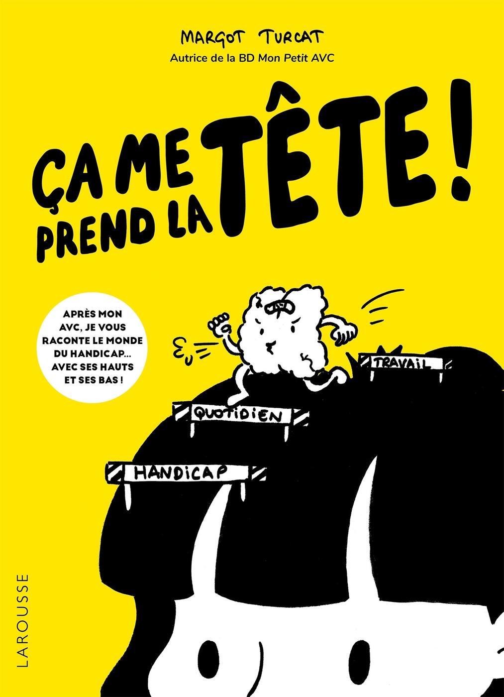 Couverture de l'album Ça me prend la tête !