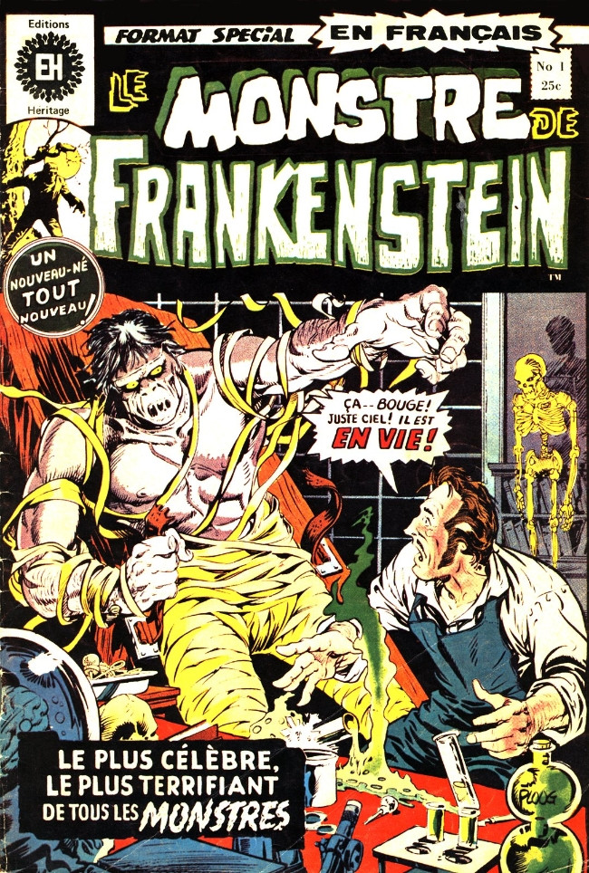 Couverture de l'album Le Monstre de Frankenstein Tome 1 Frankenstein !