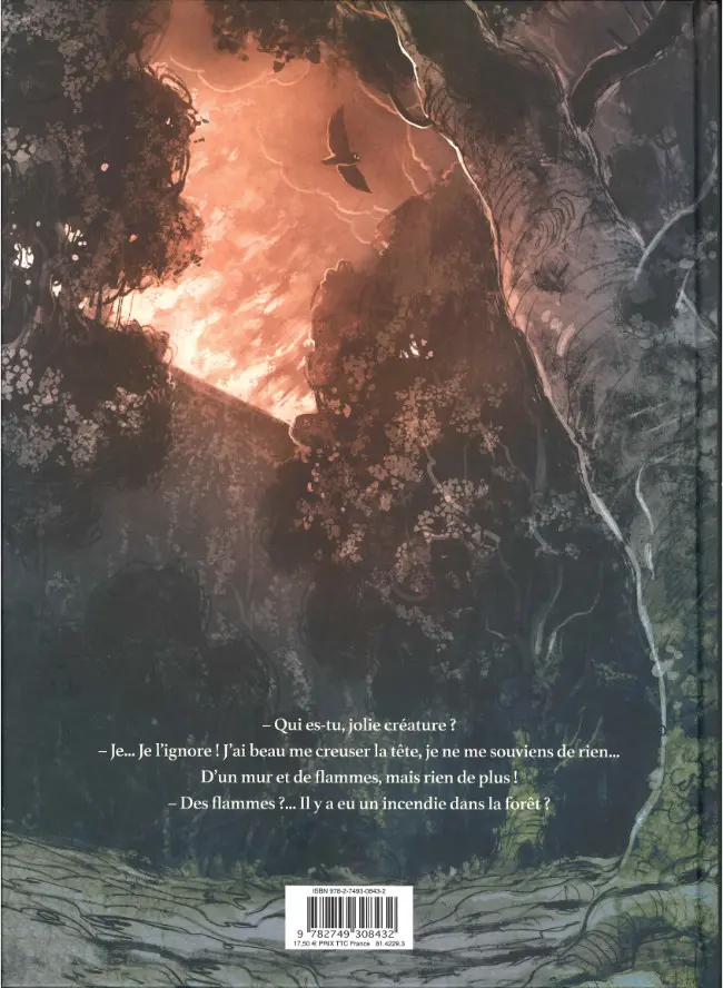 Verso de l'album Brindille Tome 1 Les Chasseurs d'ombres