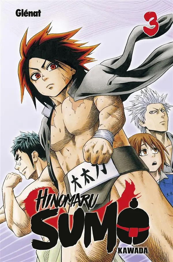 Couverture de l'album Hinomaru Sumo 3