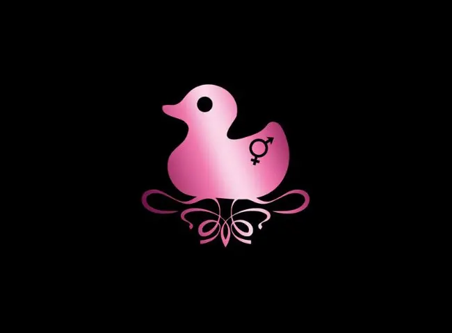 Couverture de l'album Confessions d'un canard sex-toy Tomes 1 et 2
