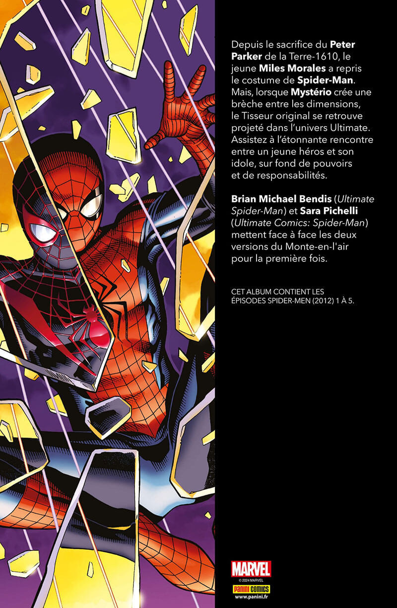 Planche de l'album Spider-Men