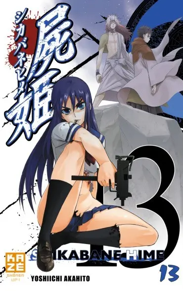 Couverture de l'album Shikabane Hime 13