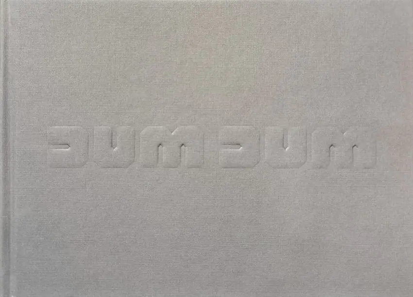 Couverture de l'album Dum Dum