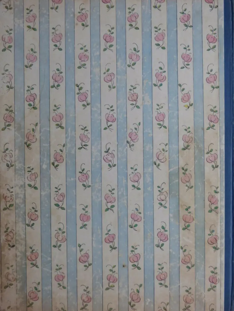 Verso de l'album Bécassine Tome 1 L'enfance de Bécassine