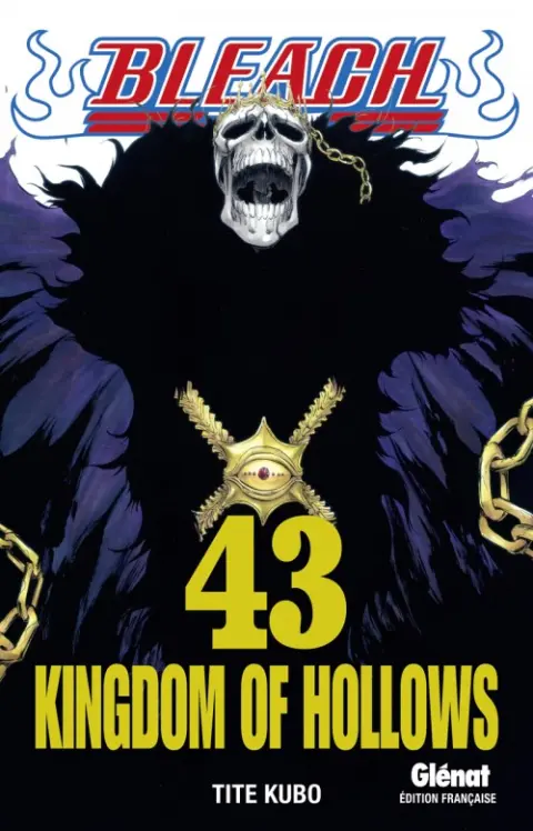 Bleach Tome 43 Kingdom of Hollows
