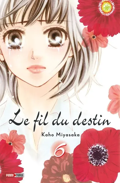 Le Fil du destin 6