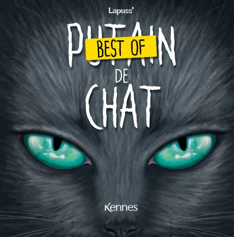 Putain de chat Best of