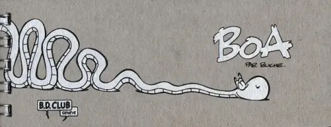 Boa