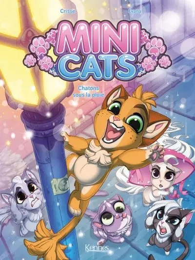 Mini Cats