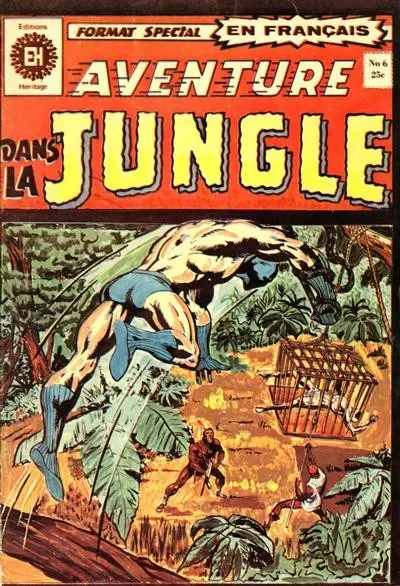 Aventure dans la jungle Tome 6 Fureur d'une panthère