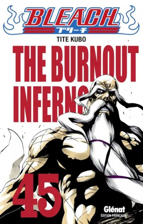 Bleach Tome 45 The Burnout Inferno