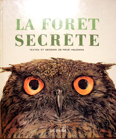Couverture de l'album La forêt secrète