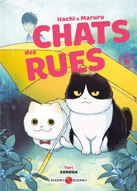 Hachi & Maruru - Chats des rues 2