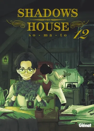 Shadows house 12