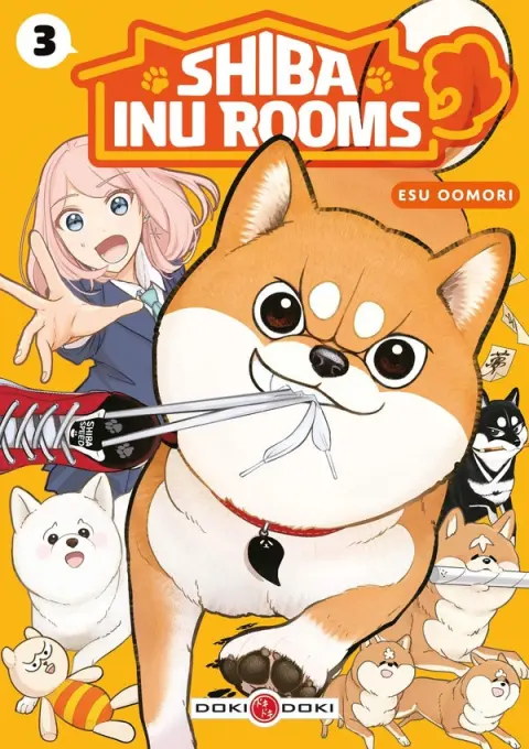 Shiba Inu Rooms 3