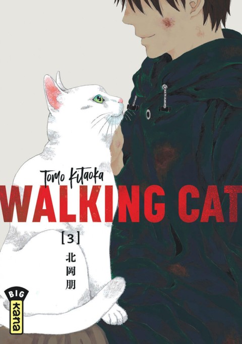 Couverture de l'album Walking Cat 3