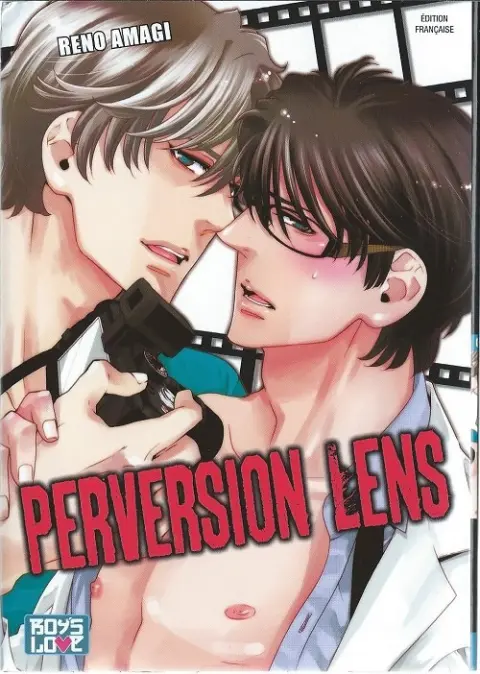Perversion lens