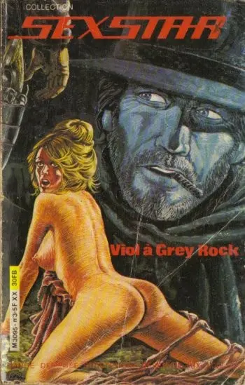 Sexstar Tome 3 Viol à Grey Rock