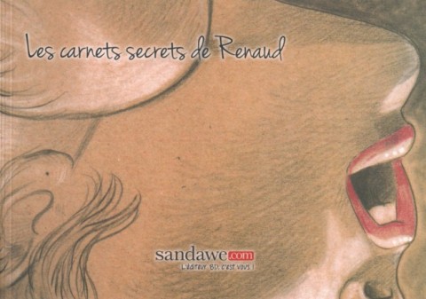 Couverture de l'album Les carnets secrets de Renaud