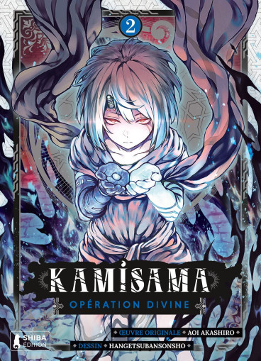Couverture de l'album Kamisama Opération Divine 2