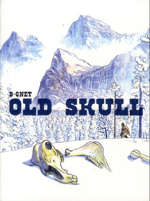 Old skull
