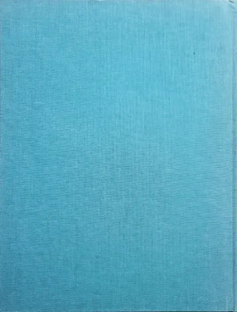 Verso de l'album Moi Svein, compagnon d'Hasting Tome 1 L'initiation